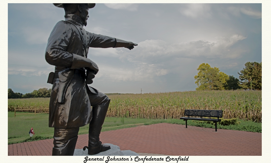 general-johnstons-cornfield
