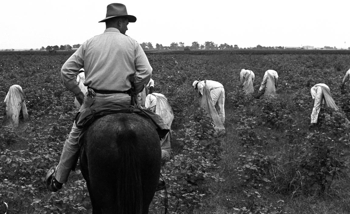 Cottonpicking, Ramsey 1964